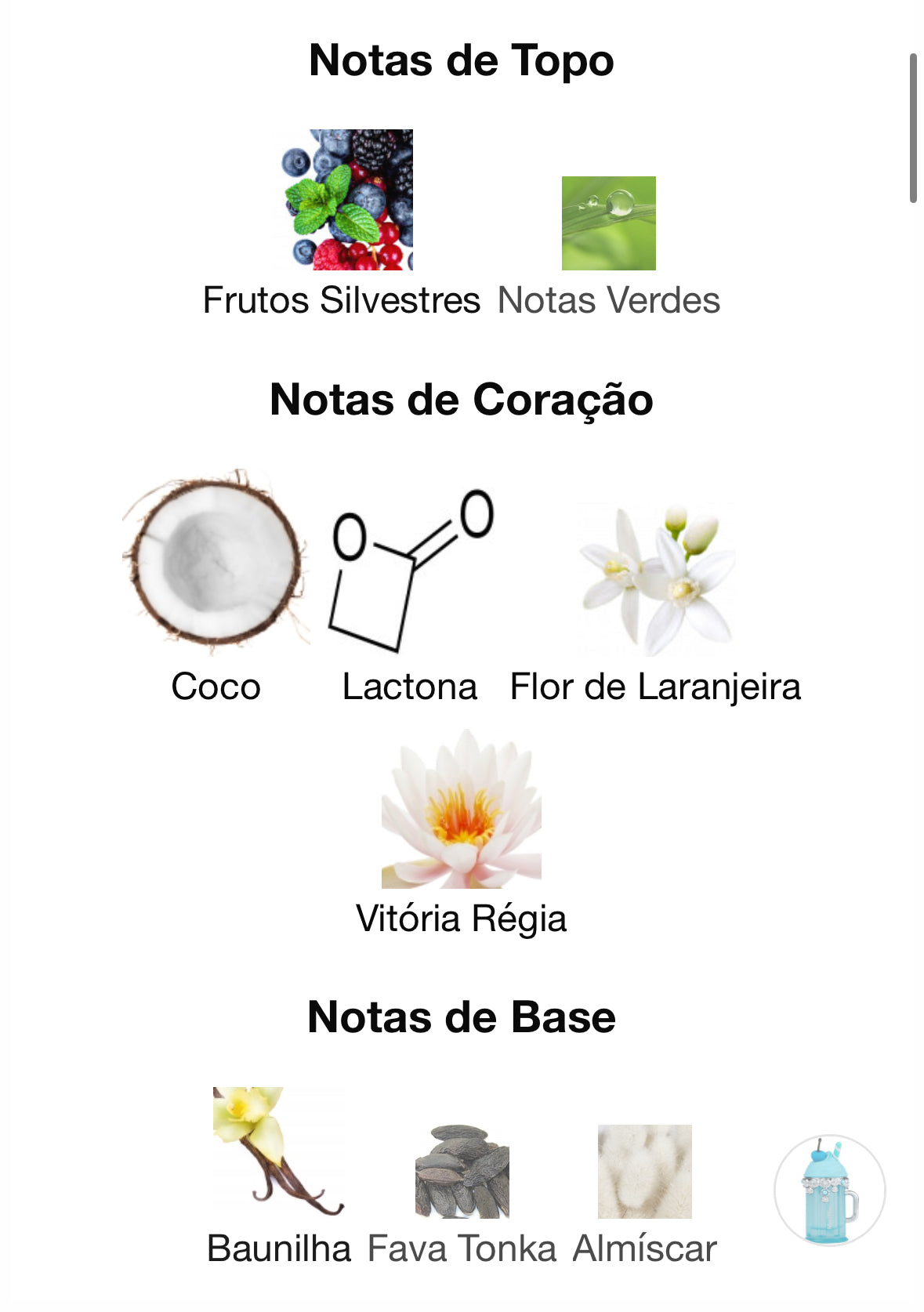 Island Bliss | 100ml EDP | Armaf - Unique Privé