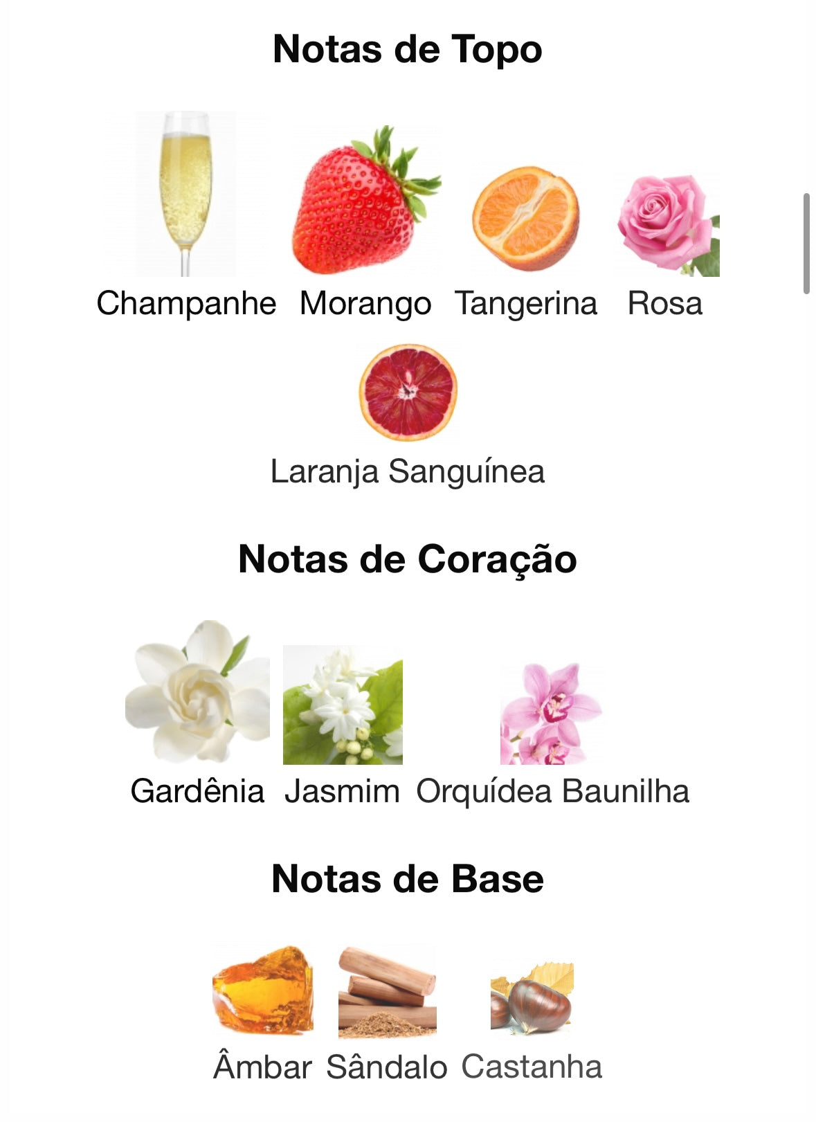 Haya | Lattafa 100ml - Unique Privé