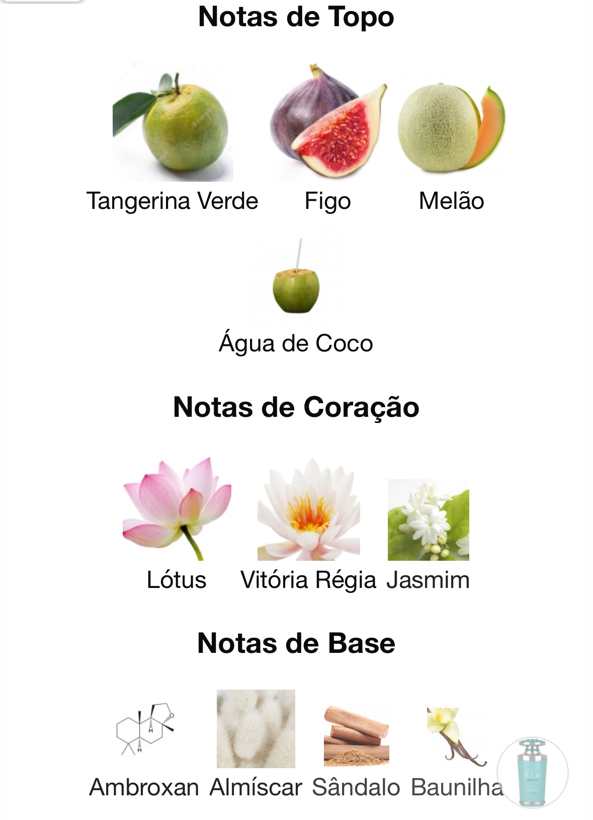 Mayar Natural Intense | Feminino | 100ml EDP | Lattafa - Unique Privé