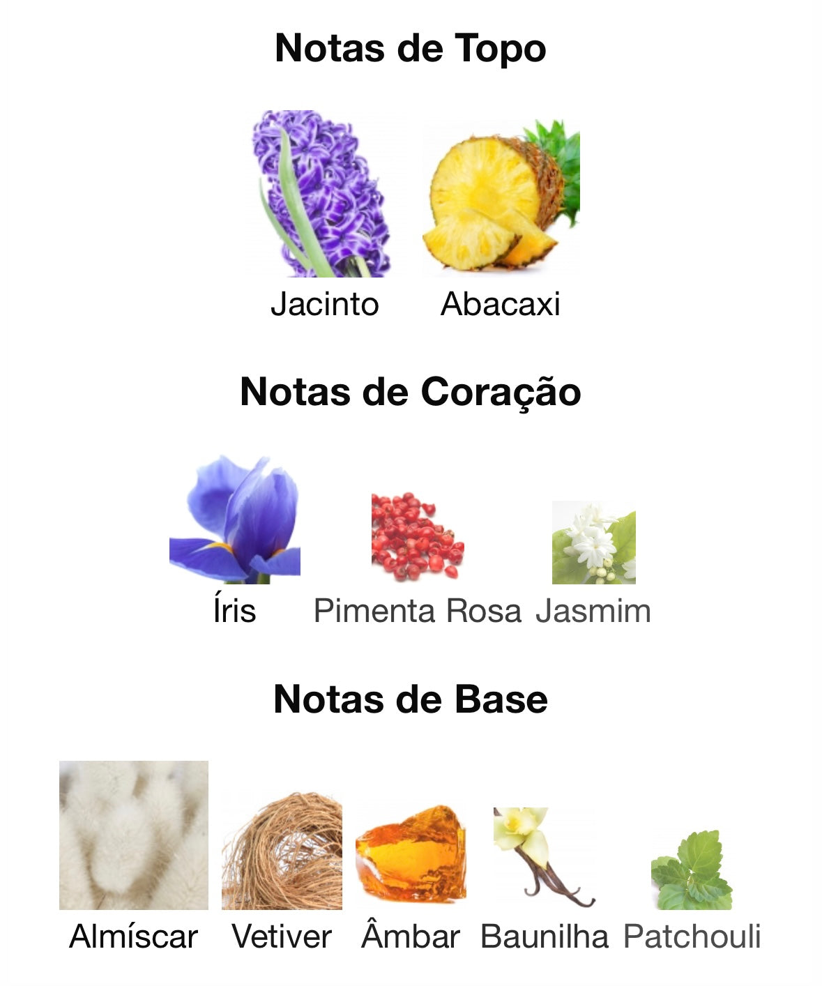 PHILOS Centro EDP| Maison Alhambra 100ml (feminino) - Unique Privé