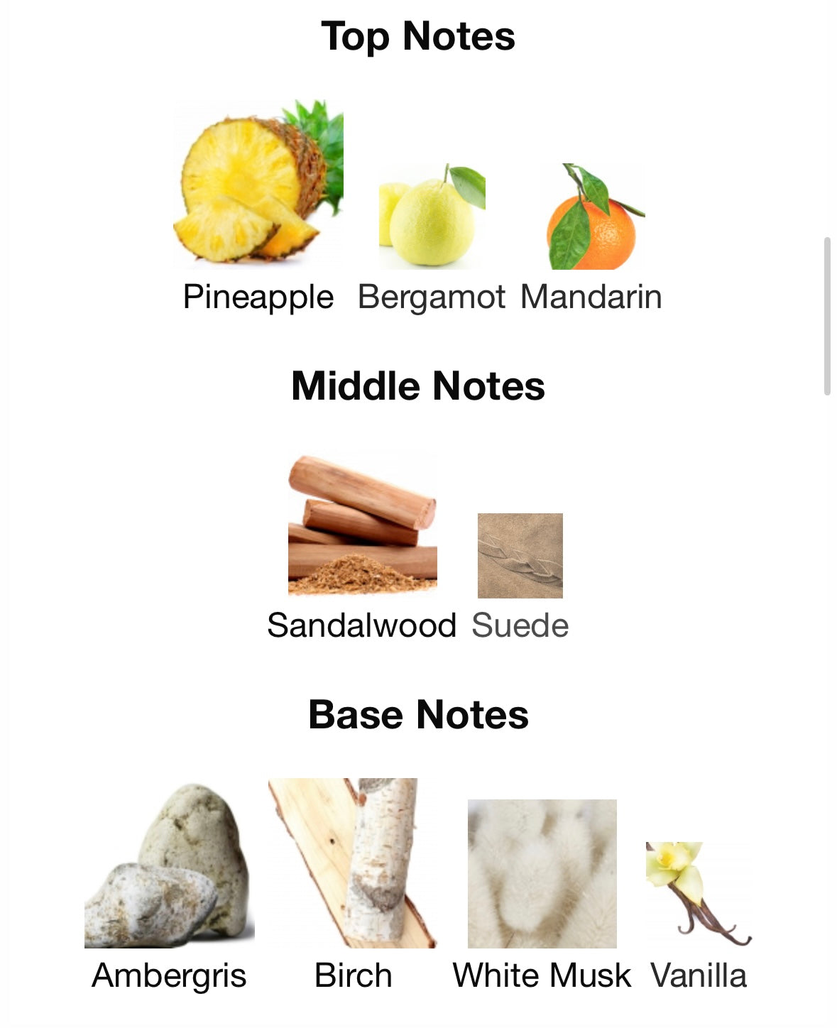 Meringue EDP | French Avenue, 100ml - Unique Privé