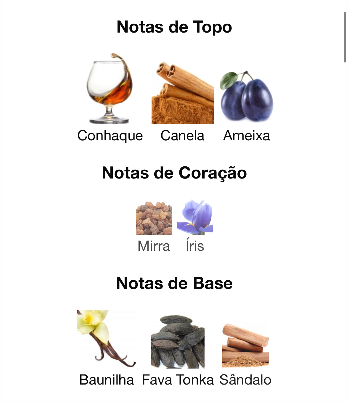 Royal Blend | Unissexo | Extrato De Perfume 100ML | French Avenue - Unique Privé