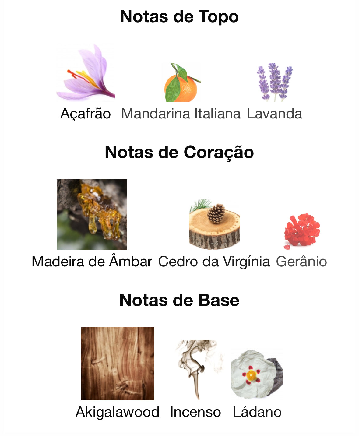 MUSAMAM | UNISSEXO | 100ML EDP | Lattafa - Unique Privé