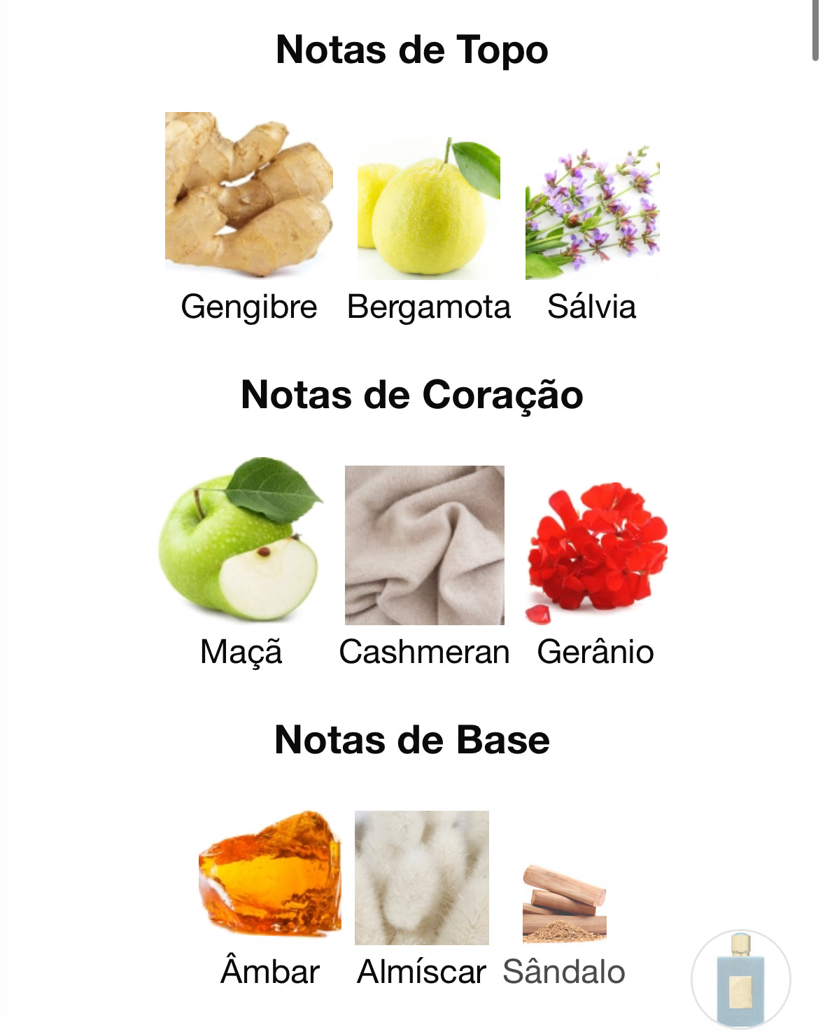 Ameer Al Arab Imperium | Masculino | EDP 100ML | Asdaaf - Unique Privé