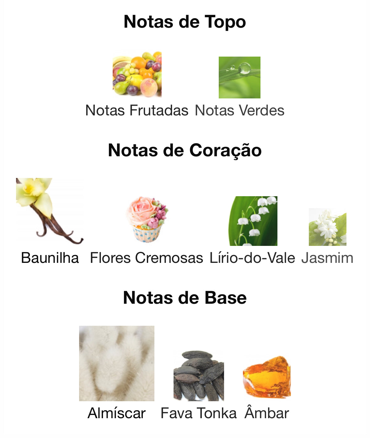 Musk Collection Tahara Vanilla | 60ML EDP | Gulf Orchid - Unique Privé