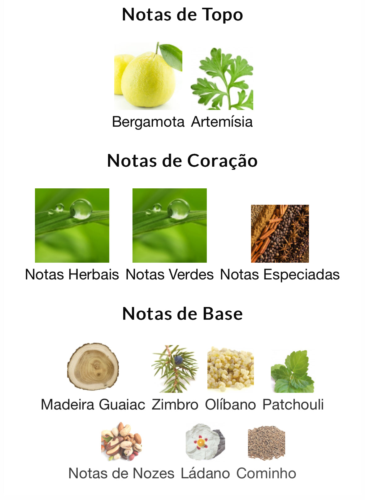 Al Noble - Safeer | 100ml EDP | Lattafa - Unique Privé