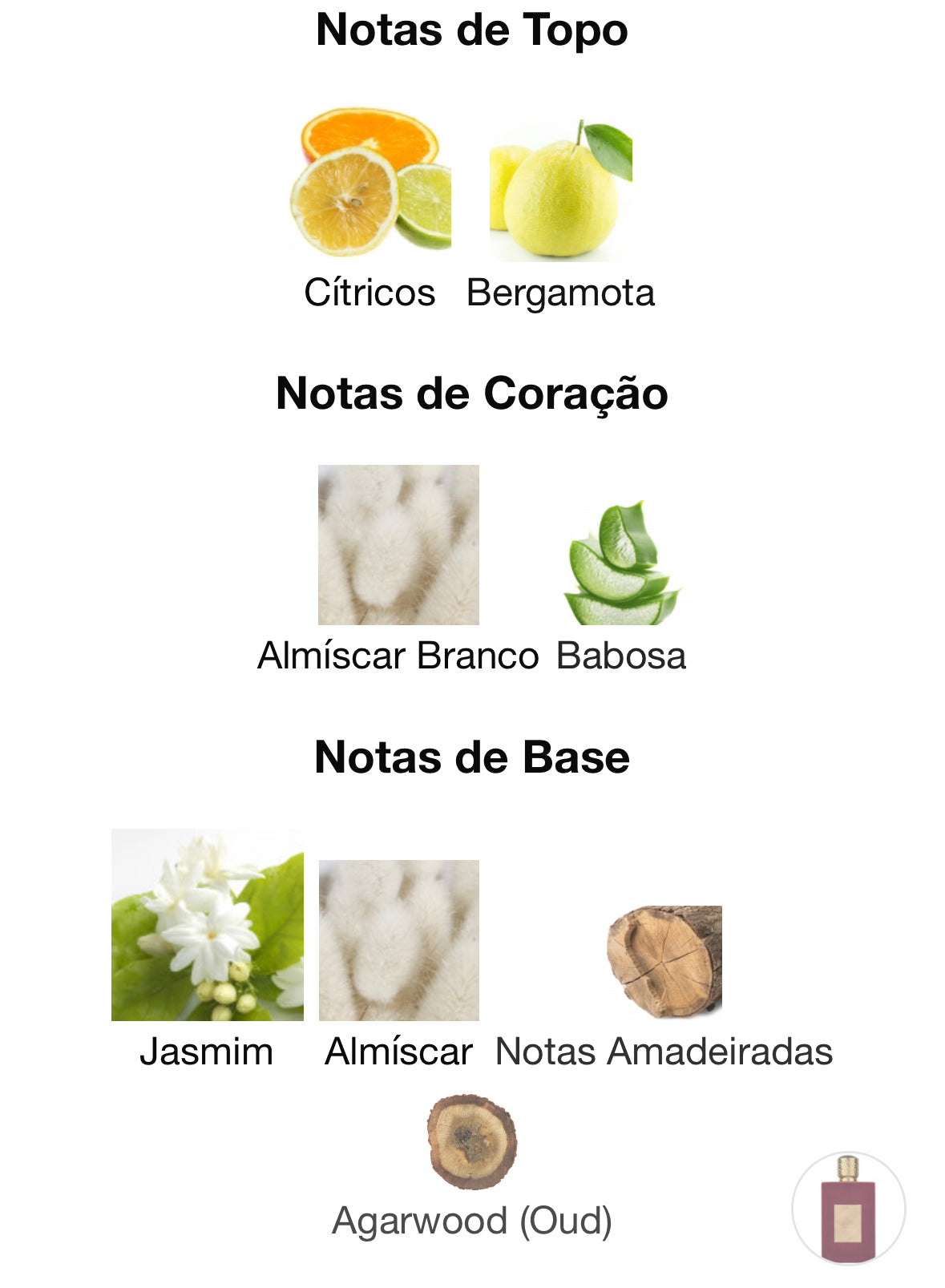 Ameerat Al Arab | 100 ML Eau De Parfum | Feminino | Asdaaf - Unique Privé