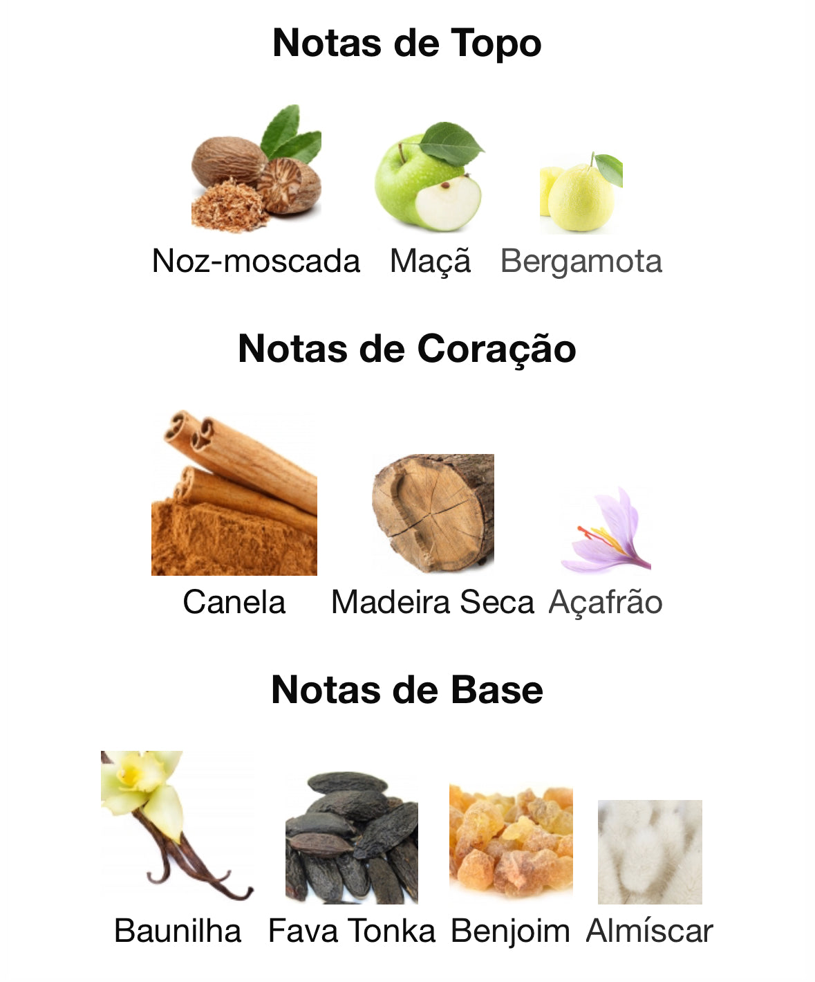 Royal Blend Nero | Unissexo | Extrato de Perfume 100ML | French Avenue - Unique Privé